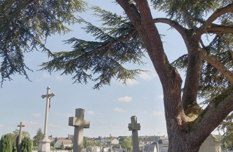 Cimetière Argentan