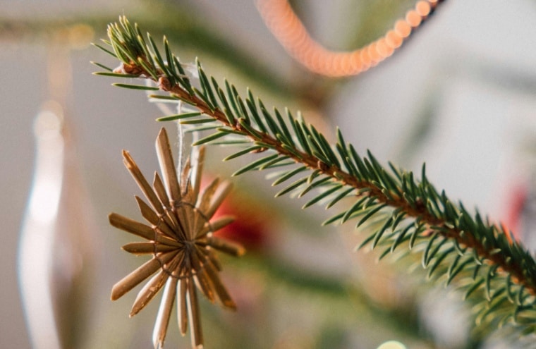 Atelier décoration de noel-argentan