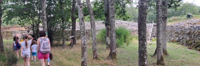 Visite guidée du Camp celtique de Bierre