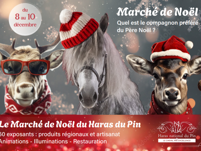 Visuel Marché de Noel 2023