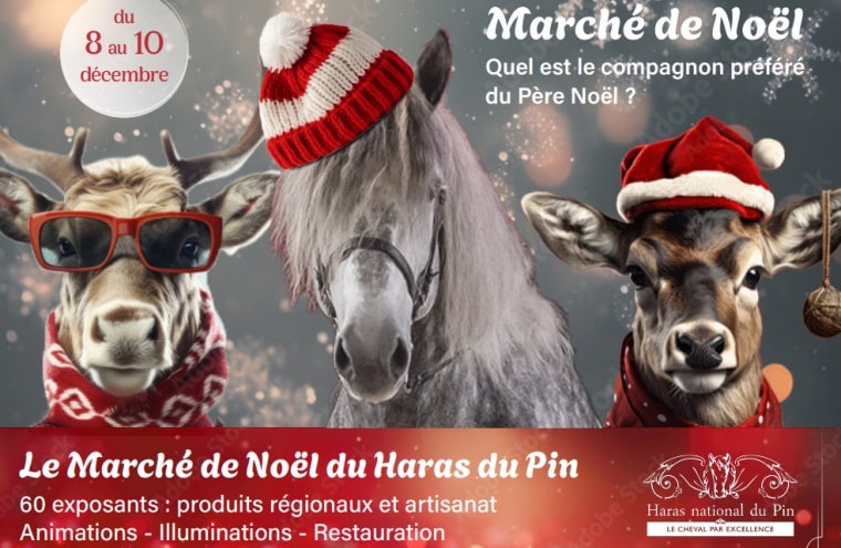 Visuel Marché de Noel 2023