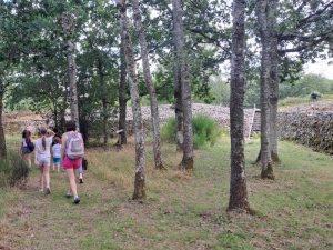 Visite guidée du Camp celtique de Bierre