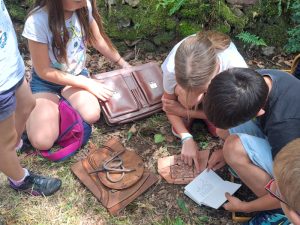 Jeu d'énigmes au Camp celtique de Bierre