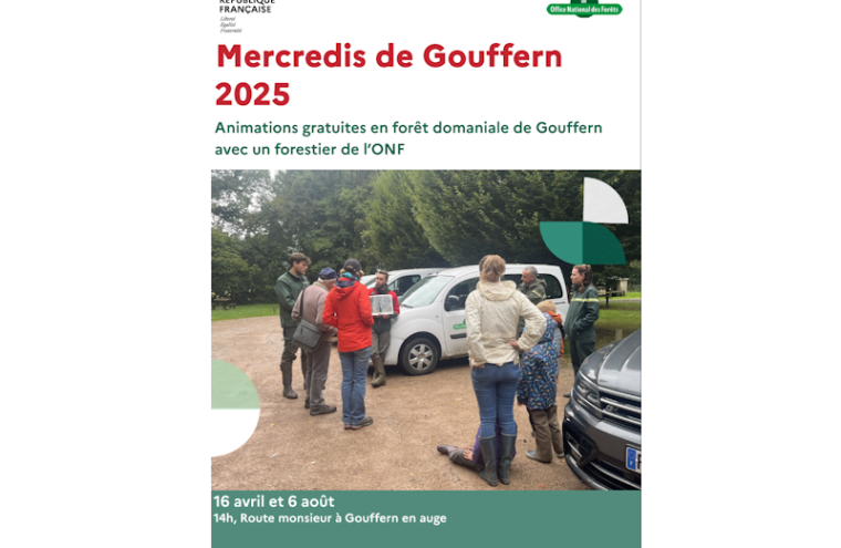 Mercredis de gouffern