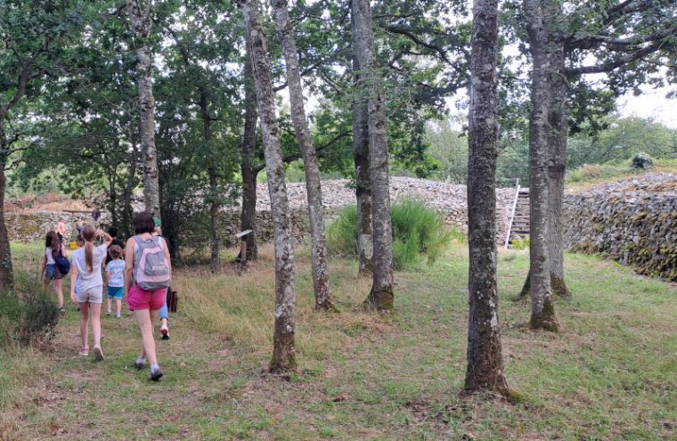 Visite guidée du Camp celtique de Bierre