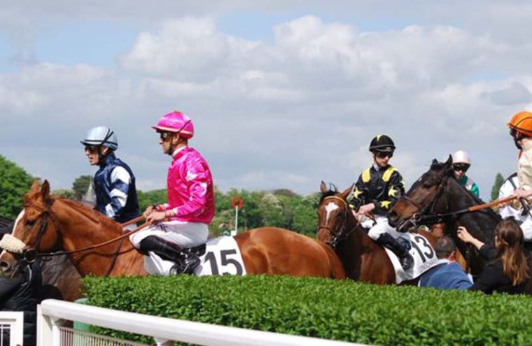 Courses hippiques - Haras national du Pin