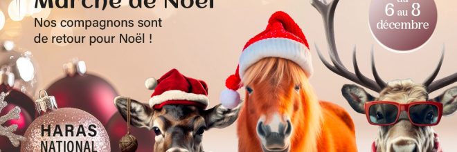 visuel-marche-noel-siteweb_673e01aed9bc0