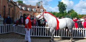 visuel-percheron-siteweb_66f40f7b2c4fa